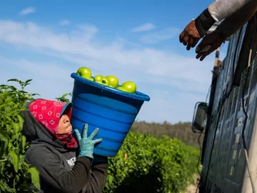 Immigrants Pay More in Taxes Than the Wealthiest US Households