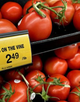White House slapping 21% tariffs on tomatoes from Mexico