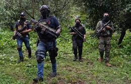 Puro Cuatro Letras!, here we are, gentlemen! CJNG hitmen appear in El Rosario, Sinaloa