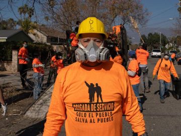 Immigration Raids: This country has a workforce shortage.