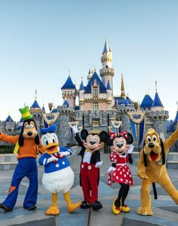 Lice Outbreak at Disney? This Is How They Detect Children with Lice at Disney World