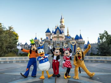 Lice Outbreak at Disney? This Is How They Detect Children with Lice at Disney World