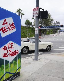 Frustration Grows Against Elected Officials Amid ICE Raids