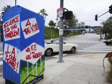 Frustration Grows Against Elected Officials Amid ICE Raids