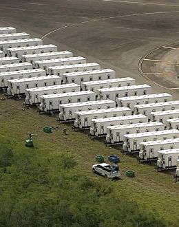 The Shame of Democracy: What is ‘Alligator Alcatraz’?