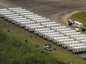 The Shame of Democracy: What is ‘Alligator Alcatraz’?