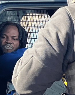 Why are There so few Black ICE Agents? “Trump is Trying to Keep the US as a White Majority Country,” Some Say.