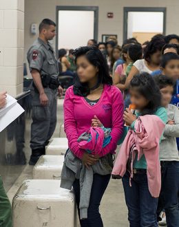 Fewer than 20,000 Immigration Lawyers in the US are on the Verge of Collapse