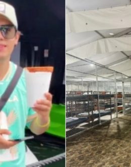 Two Mexican brothers are being held at Alligator Alcatraz prison in Orlando, consul confirms