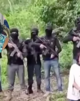 How the Cártel Mafia Veracruzana, the group that murdered teacher Irma Hernández, operates