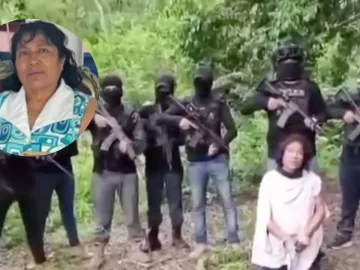 How the Cártel Mafia Veracruzana, the group that murdered teacher Irma Hernández, operates