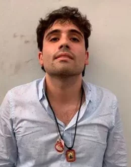 Ovidio Guzmán has pleaded guilty to four drug trafficking charges and is now part of the Federal Witness Protection Program