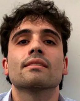 What’s next for Ovidio Guzmán after pleading guilty to four drug trafficking charges in the US?