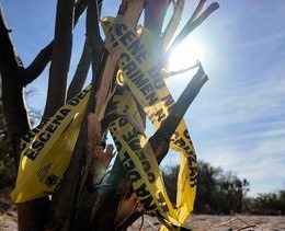 La Paz, the Sinaloa Cartel’s Favorite Clandestine Cemetery in Baja California Sur