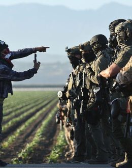 Ignored and Targeted: UFW’s Teresa Romero on ICE and Farmworker Rights