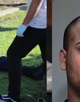 The Story of “Thanos”: Alleged Operator of a Large Sinaloa Cartel Fentanyl and Chemical Network in Canada