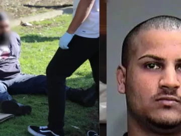 The Story of “Thanos”: Alleged Operator of a Large Sinaloa Cartel Fentanyl and Chemical Network in Canada