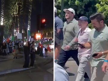 Protesters gather outside Disneyland Resort as JD Vance visits with his family