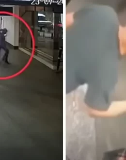 #LordElevator, Jaime Salem was caught on video brutally beating Cristina in an elevator