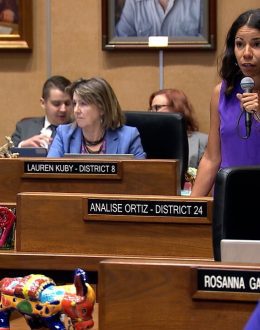 Analise Ortiz: ‘I Will not be Intimidated. I Will Alert Our Community to Avoid the Area When Trump’s Masked Thugs Terrorize Us All’