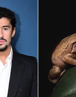 Trip to See Bad Bunny Turns Tragic: US Tourist Fatally Shot in Puerto Rico