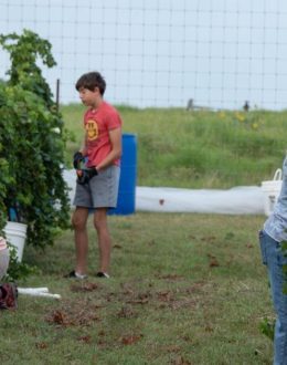 American Farmers Face the Toughest Times in Decades