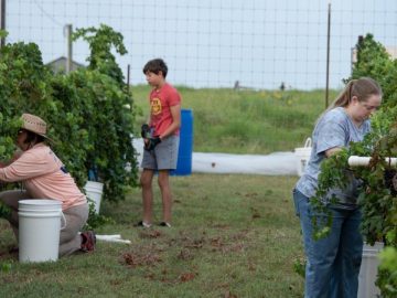 American Farmers Face the Toughest Times in Decades