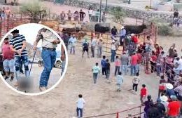 Cat tied to fireworks in Guanajuato; search for those responsible