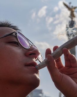 Do you like marijuana? Mexico City will have safe spaces for its consumption