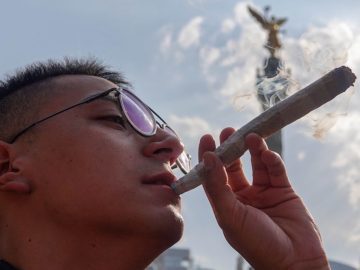 Do you like marijuana? Mexico City will have safe spaces for its consumption