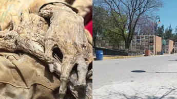 Mummy of an Executed Man Discovered in Celaya… and Wanted to Turn It into a Tourist Attraction