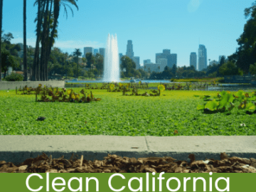 Clean California Revitalizes Los Angeles: $1.2 Billion Initiative Transforms Streets, Parks, and Communities