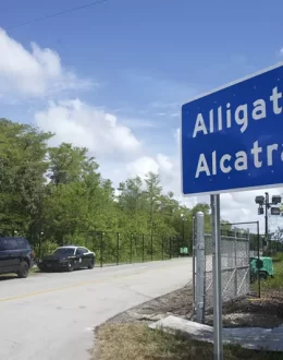 BLACK HOLE: The Silent Disappearance of Detained Immigrants at Alligator Alcatraz