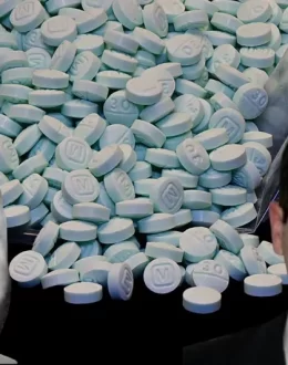 Fentanyl trafficking to the United States declines after a year of conflict between Los Chapitos and La Mayiza in Sinaloa