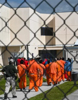 14 Lives Lost Behind Bars: Migrants Died in ICE Custody During Trump’s First Year