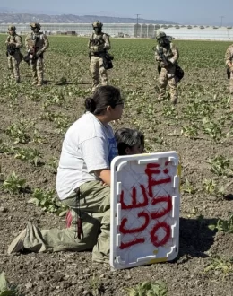 Shocking Labor Shakeup: 1.2 Million Immigrants Gone Under Trump