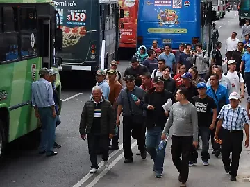 ‘El Mataperros’ Faces Justice After Killing Dozens of Dogs and Selling Their Meat in CDMX