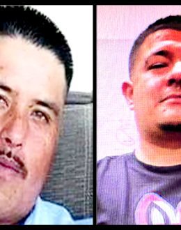 “Narcomar” Reorganizes in Baja California: Cartel Clashes, Executions, and More