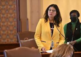 Karina Villa vs. ICE: The Illinois Senator Setting an Example for Latino Leaders