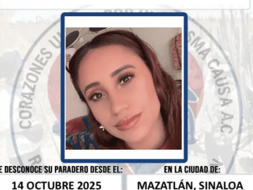 They demand an urgent search for and the return of a Sinaloan searcher alive.