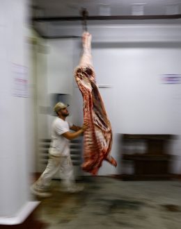 “It’s a Betrayal”: US Ranchers Furious Over the Trump Administration’s Plan to Import More Argentine Beef