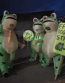Facing ICE, the Frog Speaks Out: ‘I’m Worried About My Community’