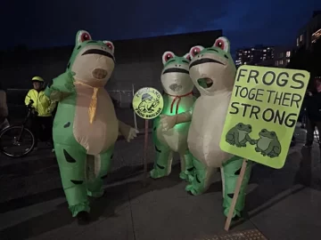 Facing ICE, the Frog Speaks Out: ‘I’m Worried About My Community’