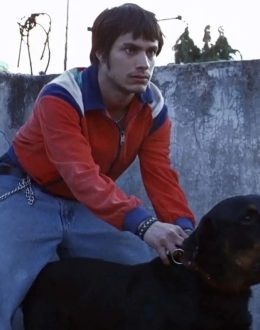 Gael García Bernal. “Amores Perros transcended time”