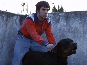 Gael García Bernal. “Amores Perros transcended time”