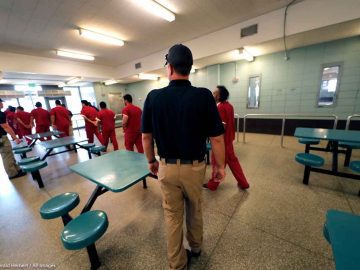 “The Narrative That Immigration Enforcement is Going After Gang Members in this Country is a Lie”