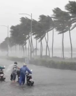 Death toll from torrential rains in Querétaro, Puebla, Hidalgo, and Veracruz rises to 47