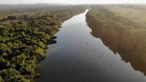 Indigenous protesters clash with police at COP30 in Brazil after protest