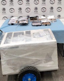 Lemon or currant? Cocaine and fentanyl found hidden in ice pop cart in Michoacán