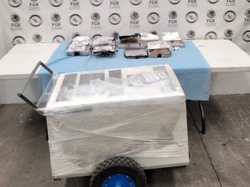 Lemon or currant? Cocaine and fentanyl found hidden in ice pop cart in Michoacán